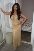 Gold Sunny